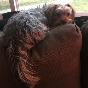 Meet your Posher, Jess